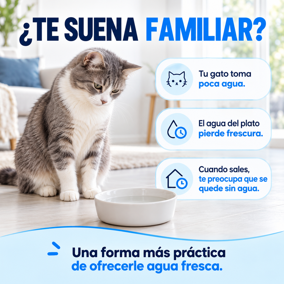 ¿Te suena familiar? Gato que toma poca agua de un plato convencional